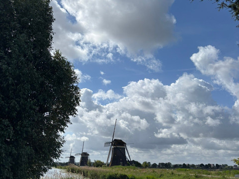 Holland Tour Company-哈勒姆必去景点