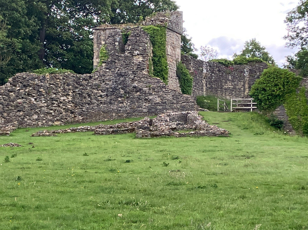 Pickering Castle景点图片