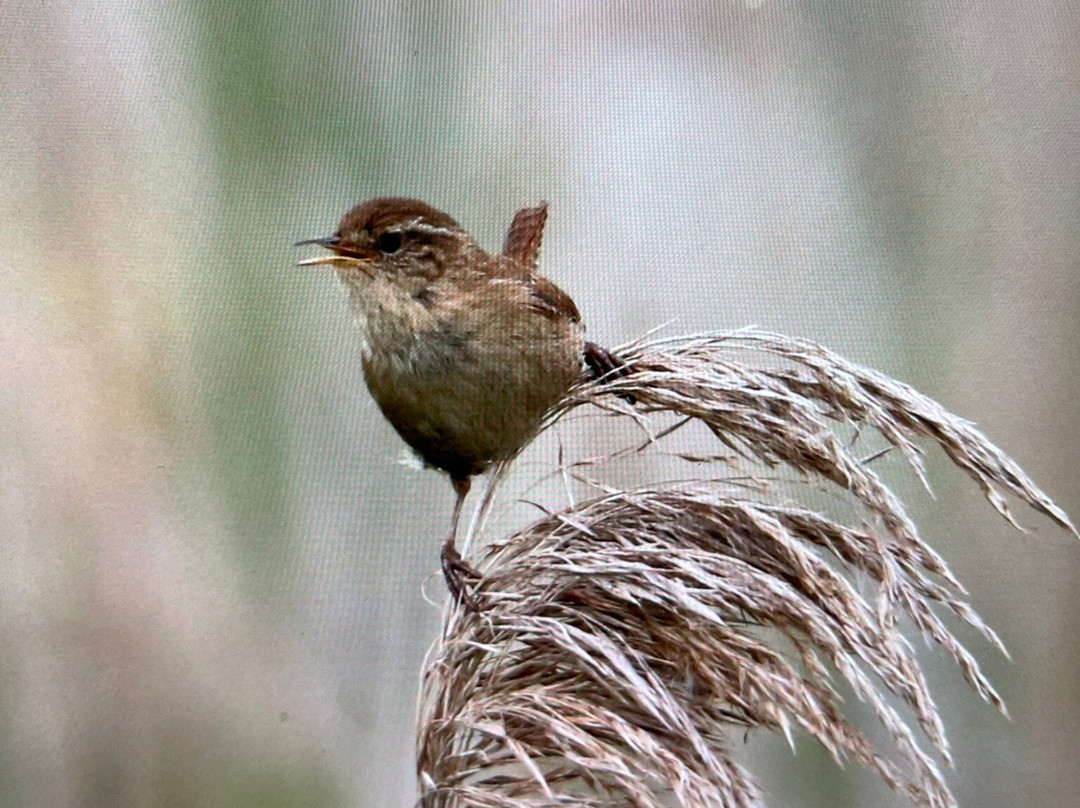 Exmoor Photography Course-迈恩黑德必去景点