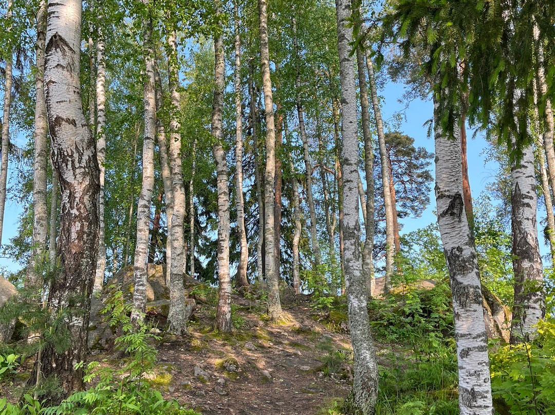 Monrepos Park, Historical, Architectural and Natural Museum Preserve-维堡必去景点