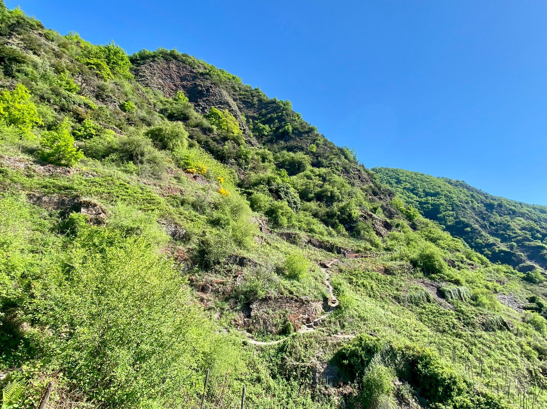 Calmont Klettersteig-Bremm必去景点