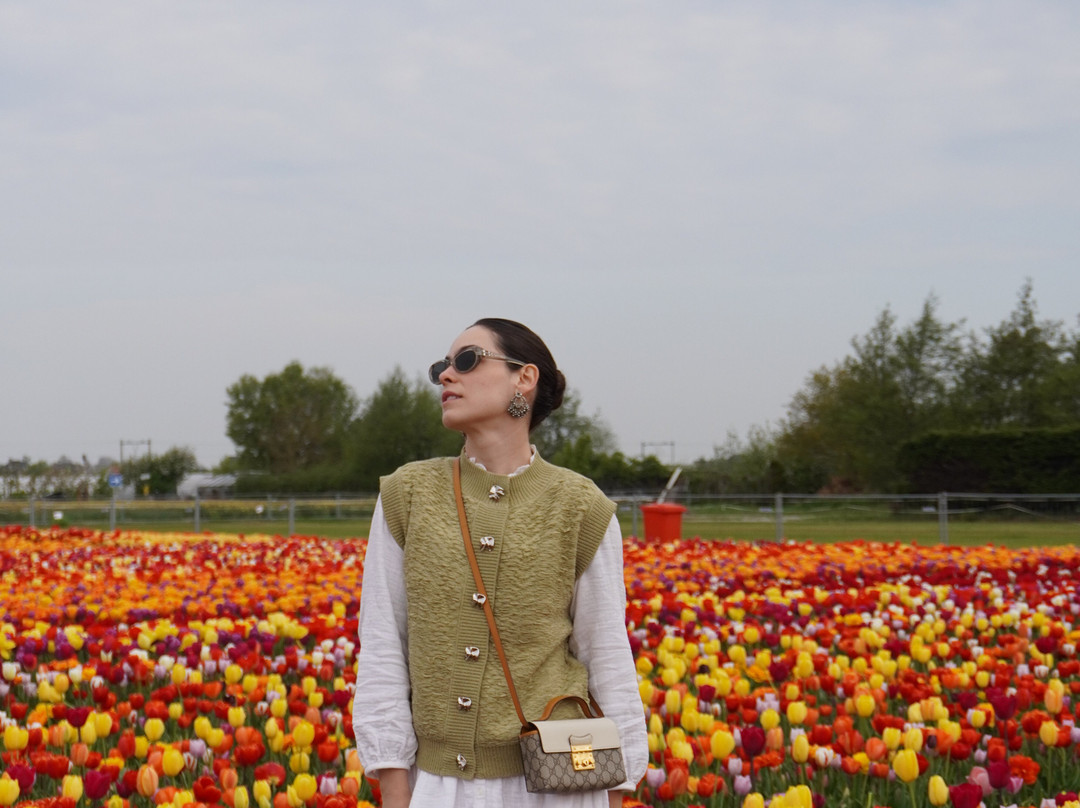 The Tulip Barn-Hillegom必去景点