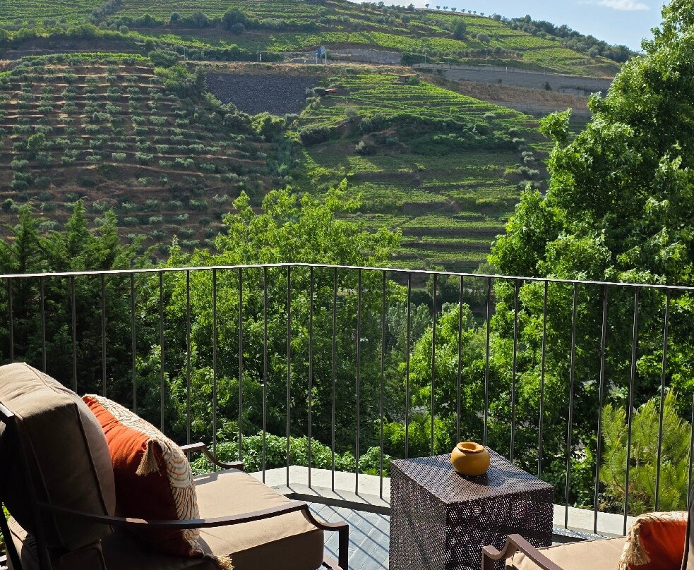 Quinta do Vallado-佩苏达雷瓜必去景点