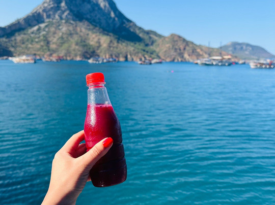 Adrasan Tekne Turu Durusu 07 Teknesi - Koray Kaptan-阿德拉桑必去景点