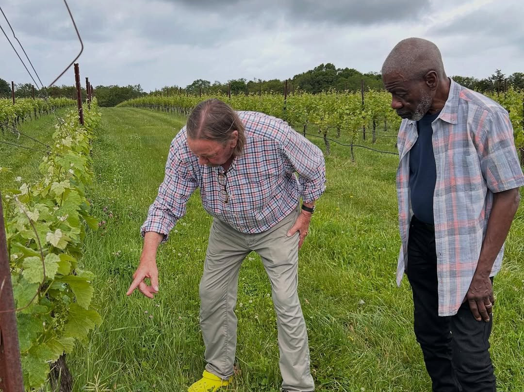 North Fork Taste And Tours