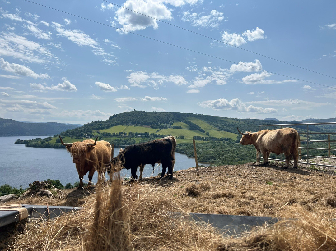 Loch Ness Hub & Travel-德拉姆纳德罗希特必去景点