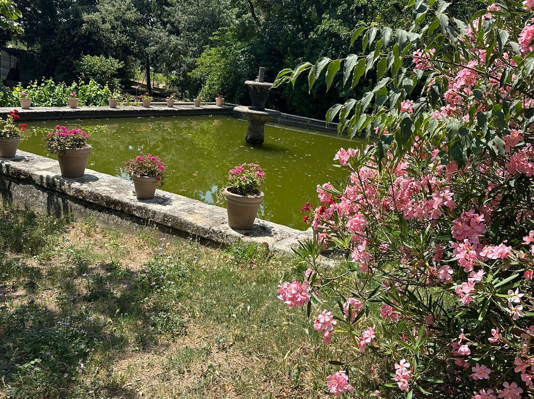 Chateau Fortia-教皇新堡必去景点