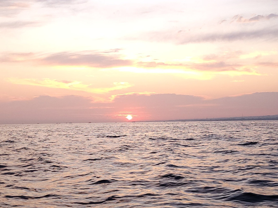 Tiket boat dolphin lovina-罗威那海滩必去景点