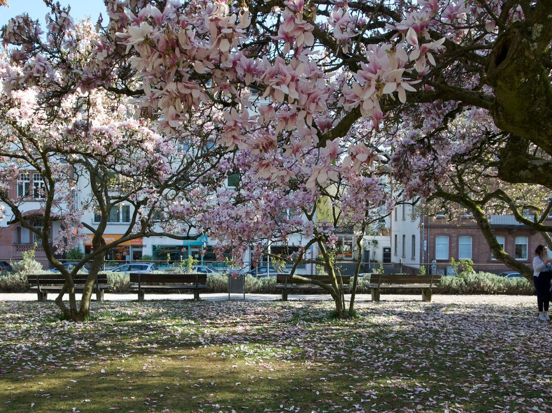 Park Schöntal-阿沙芬堡必去景点