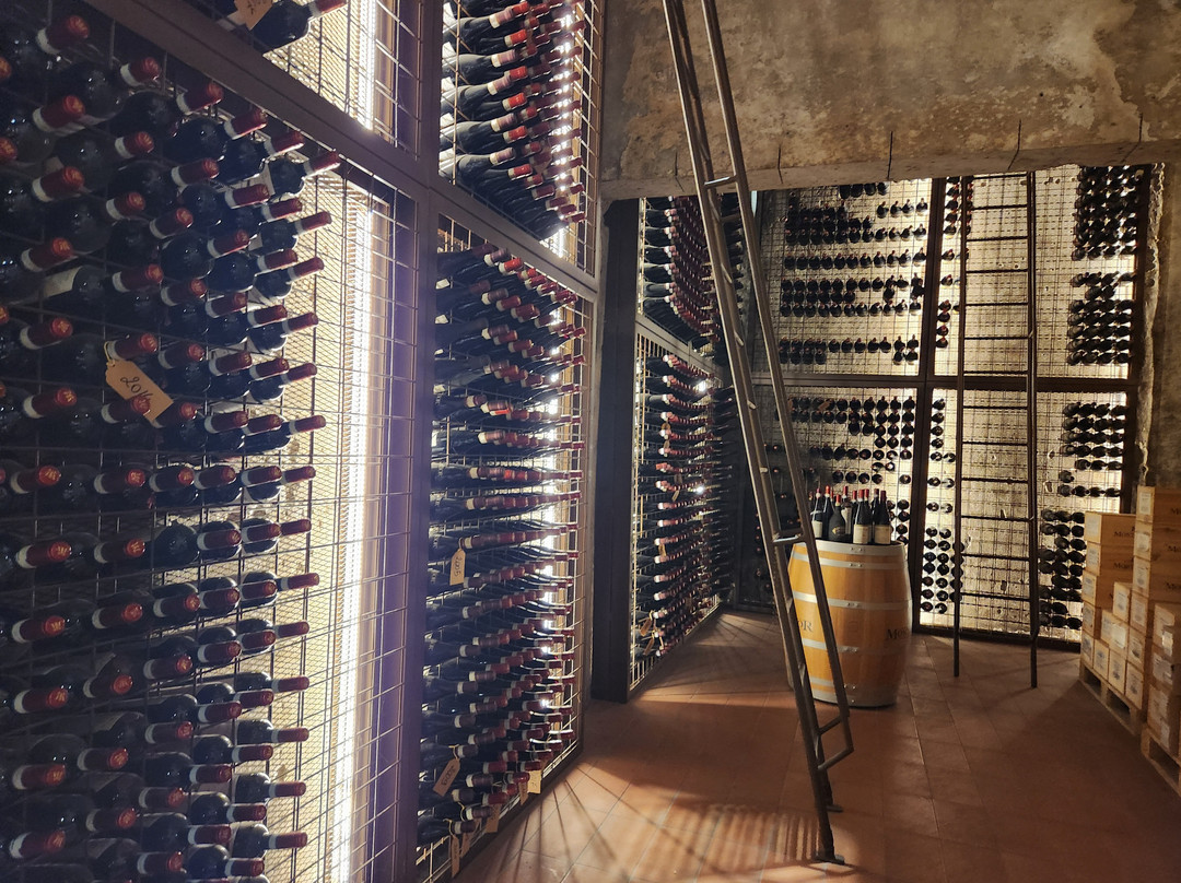 Cantine Giacomo Montresor-维罗纳必去景点