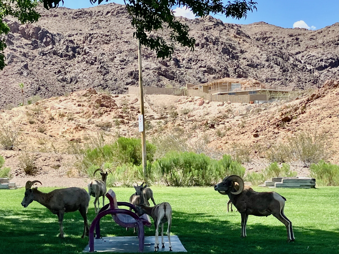 Hemenway Park-博尔德城必去景点