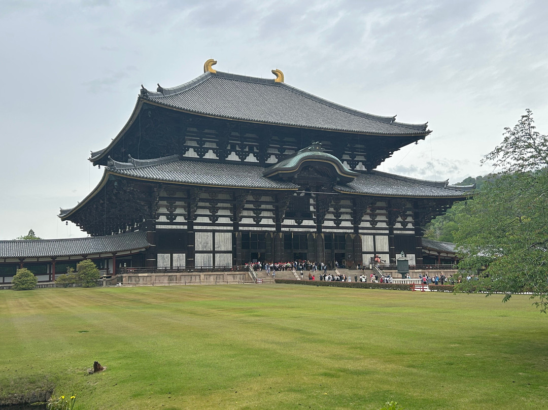 Stunning Tours-西安市必去景点