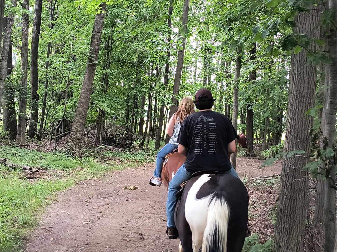 Sundance Riding Stables-Grand Ledge必去景点