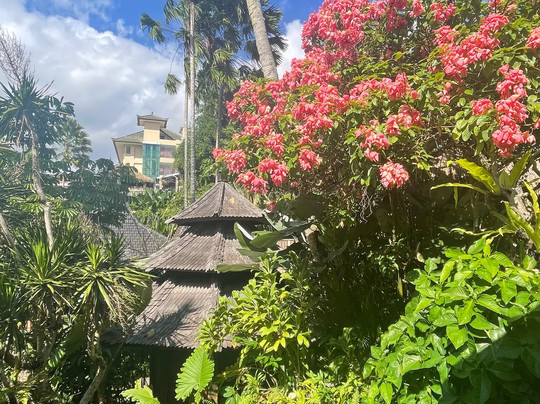 Lumina Wellness Retreat