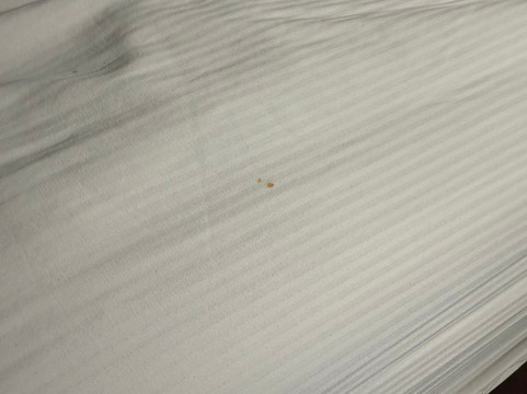 奋进旅馆及套房, 璀蔓臻选温德姆主图