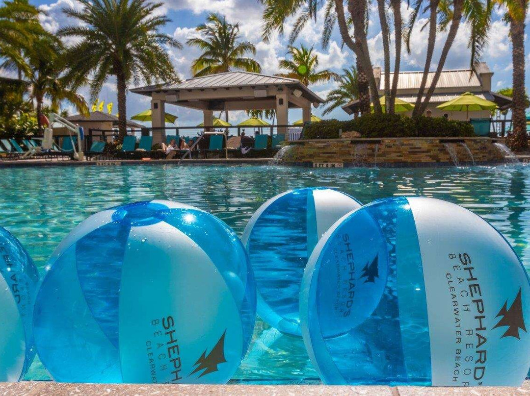 克利尔沃特酒店住宿-Shephard's Beach Resort