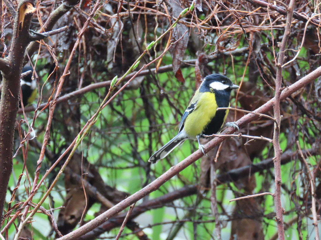 Ten Miles Gallery-张家界市必去景点
