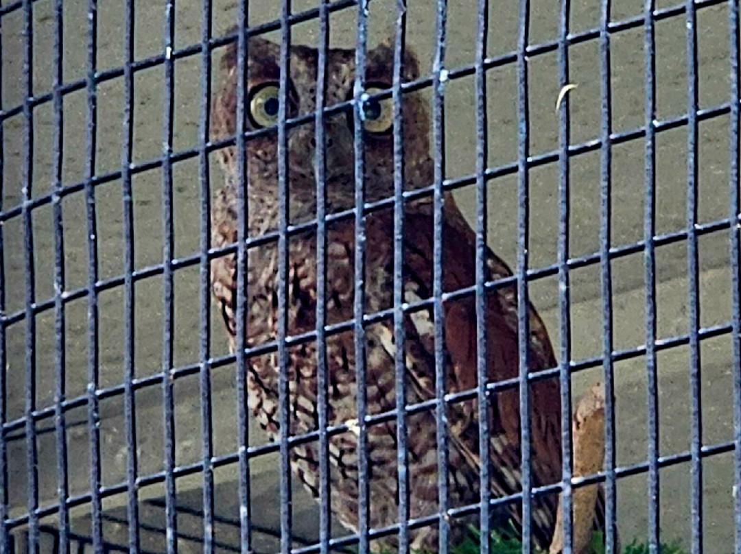 Busch Wildlife Sanctuary at Abramson & Schlaggar Reserve-朱庇特必去景点