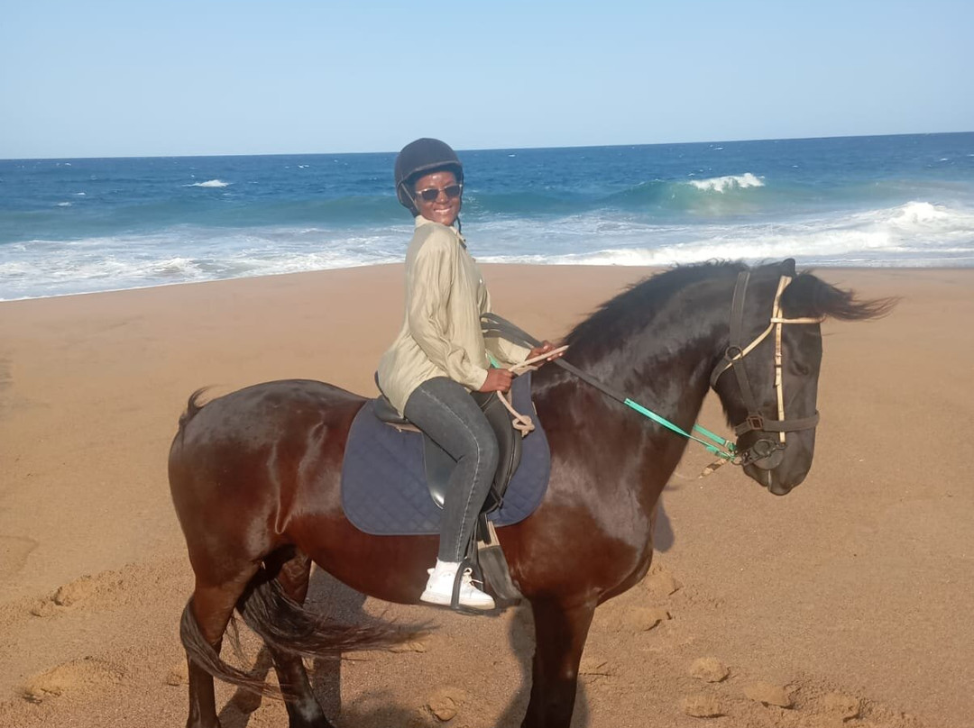 Gary's Horses-德班必去景点