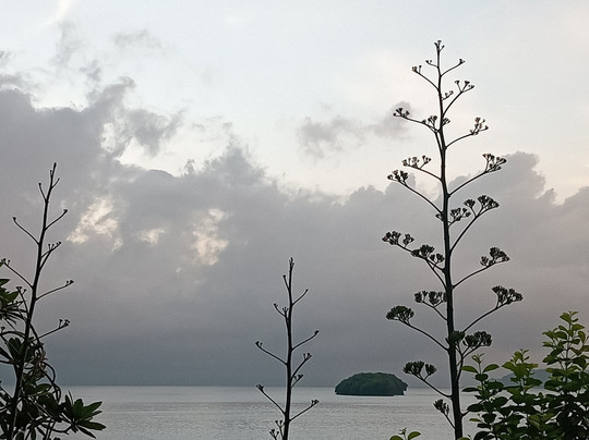 La Isla Experiences-Isla Cedros必去景点