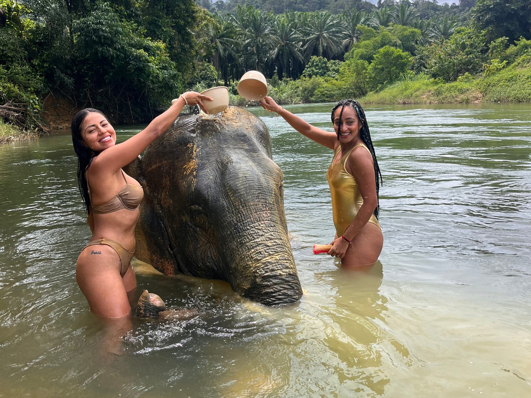 Khao Sok Travel-万打坤必去景点