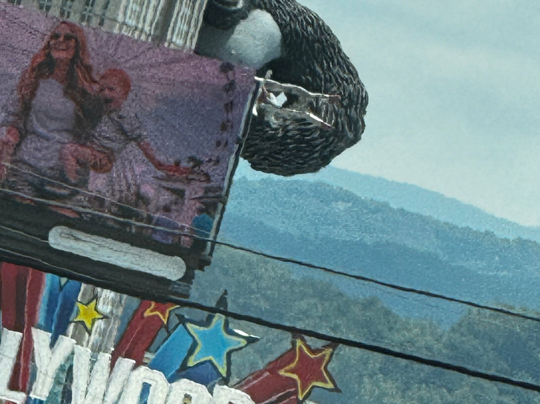 Arcade City Gatlinburg-盖林柏格必去景点