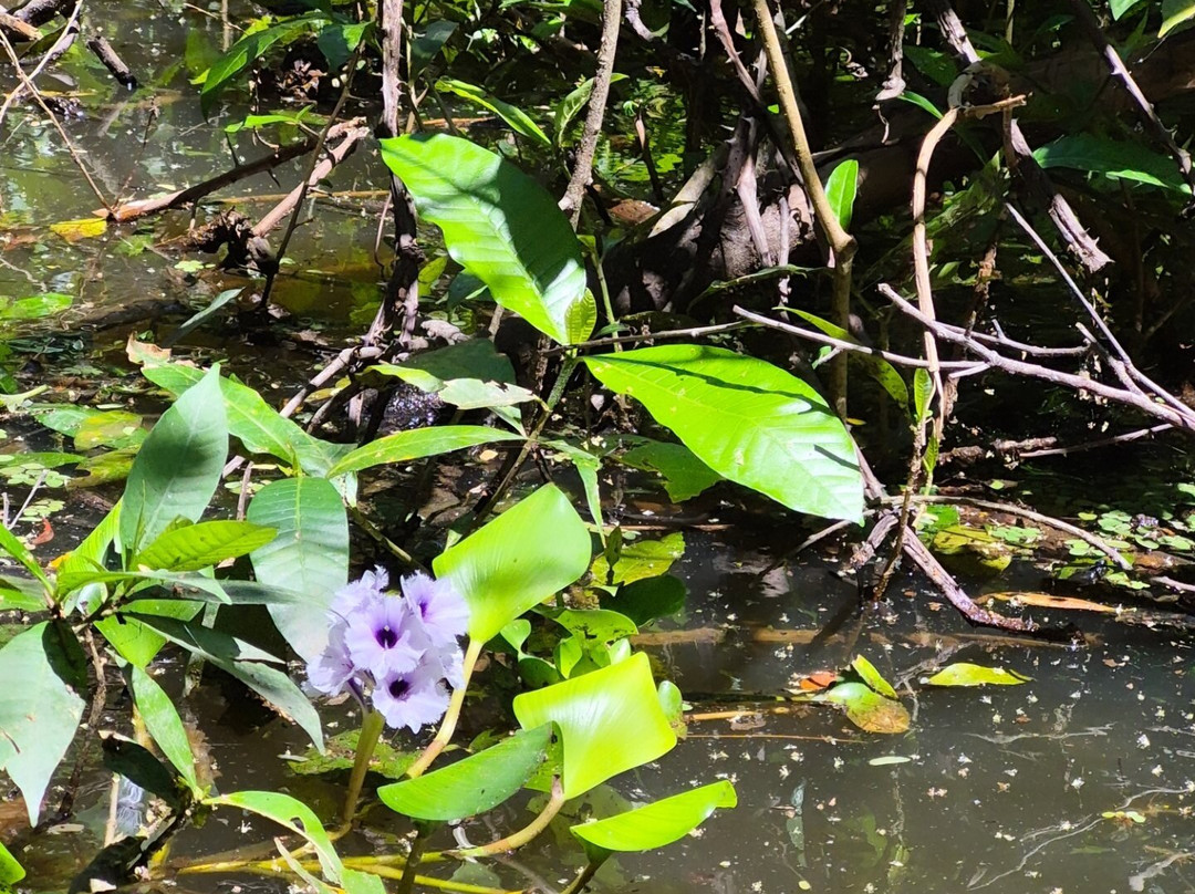 Pousada Recanto Maguary主图