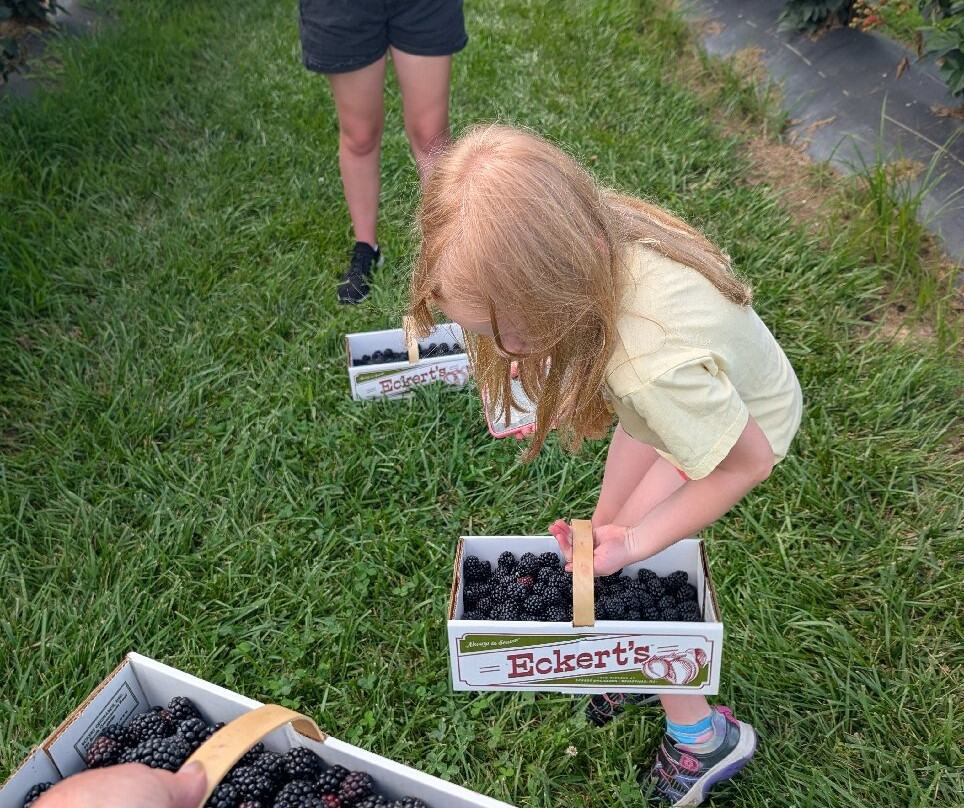 Eckert's Grafton Farm-Grafton必去景点