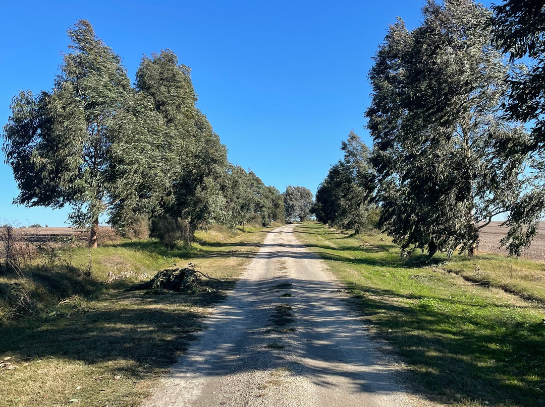 Estancia Don Joaquin主图