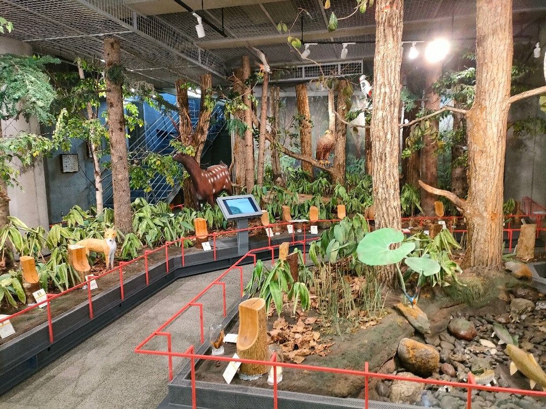 Historical Museum of The Saru River-平取町必去景点