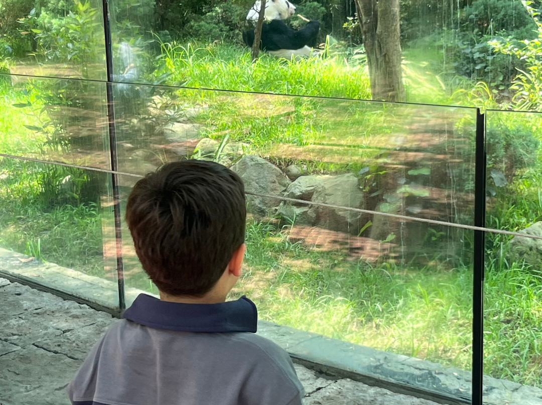 Zoológico de Chapultepec-墨西哥城必去景点