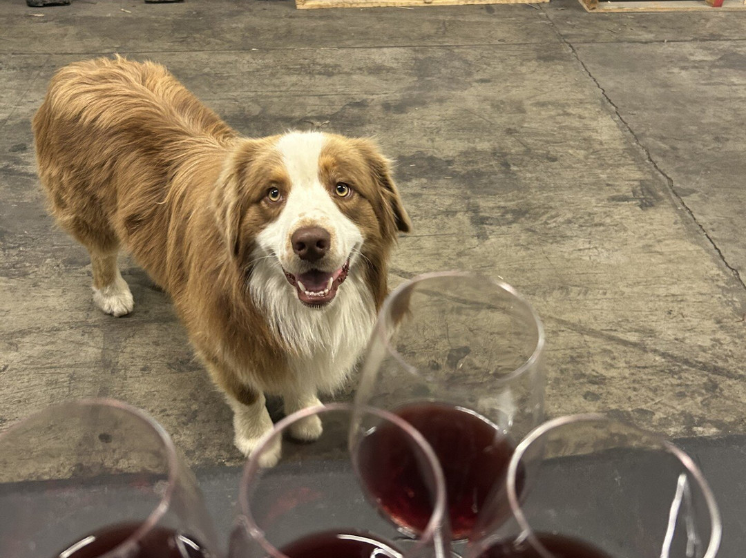 Lakewood Vineyards-沃特金斯格伦必去景点