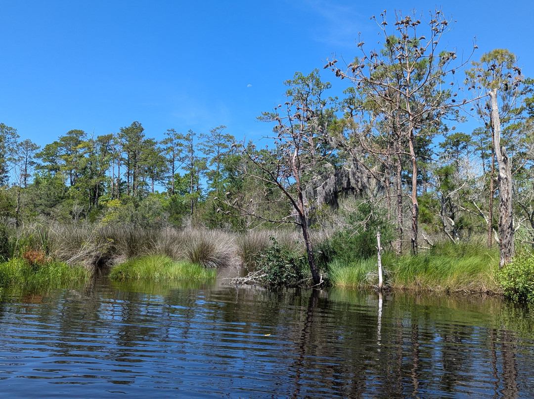 Outer Banks Kayak Adventures-外滩群岛必去景点