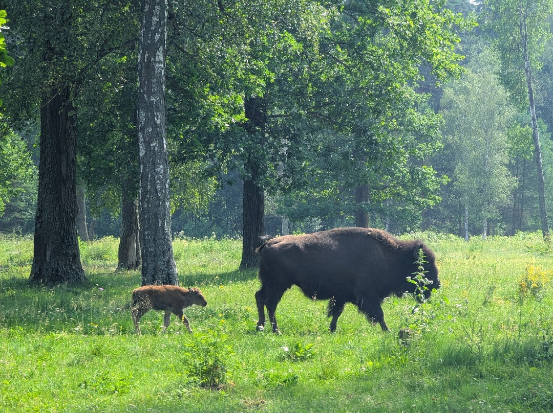 Prioksko-Terrasny Nature Reserve-Danki必去景点
