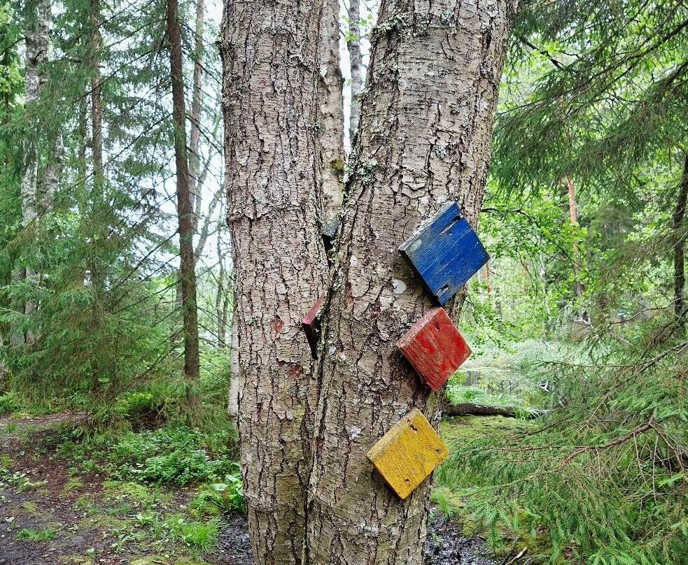 Nuuksio National Park-埃斯波必去景点
