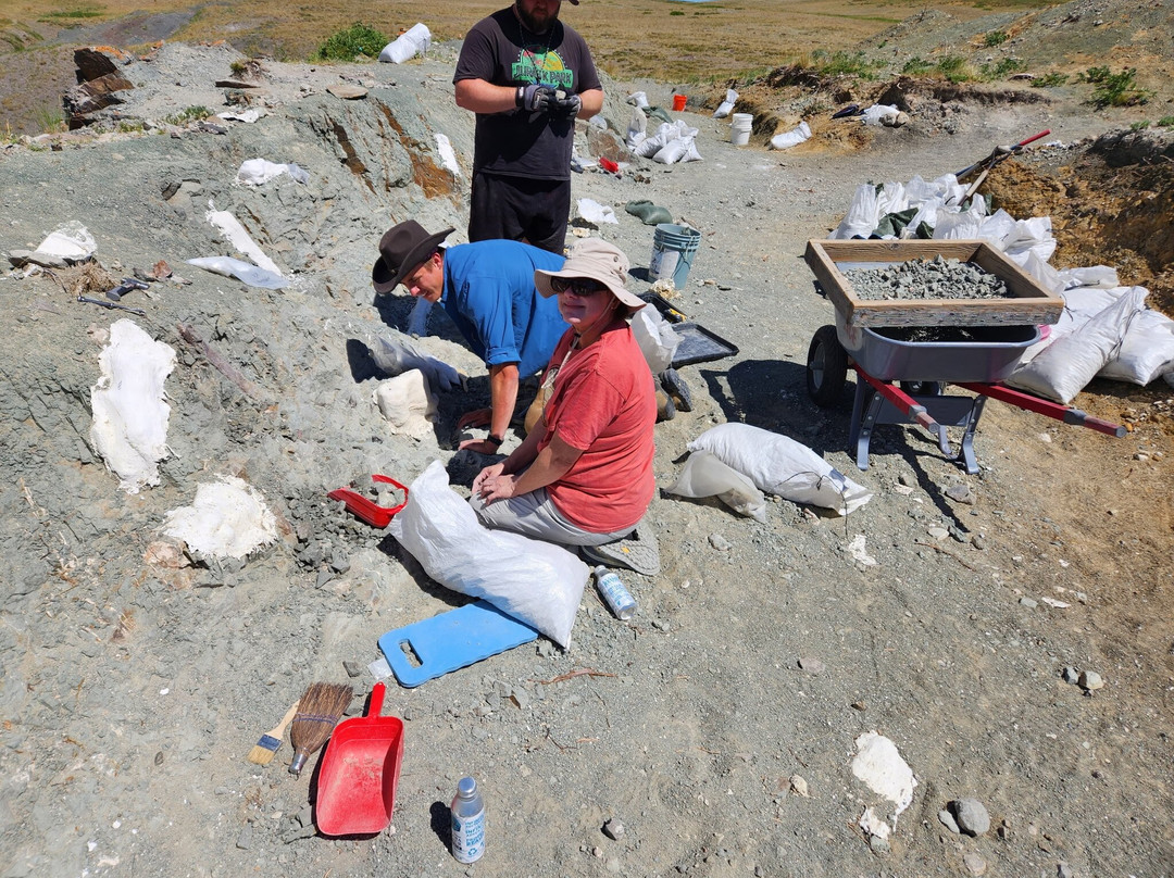 The Montana Dinosaur Center-Bynum必去景点
