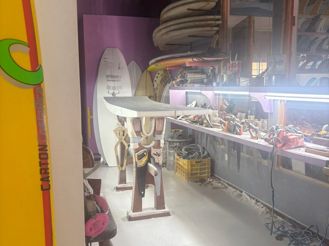 Carton the Surf Shop-哈科必去景点