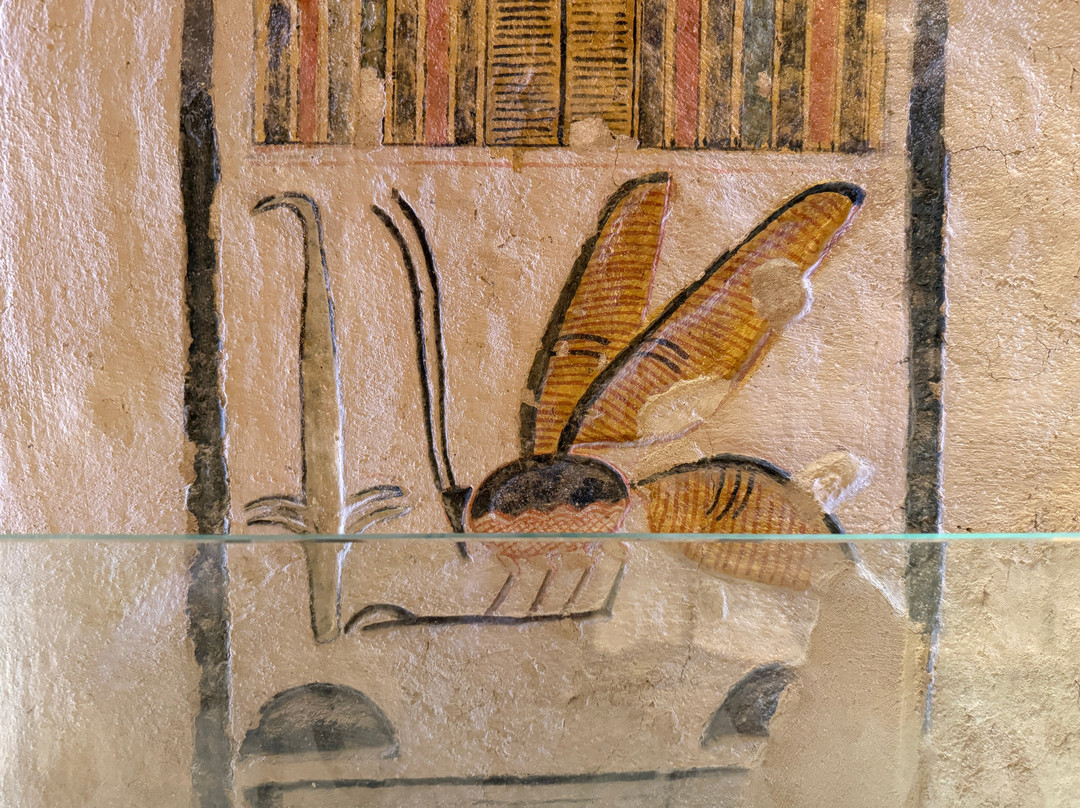 Tomb of Ramases IX-卢克索必去景点