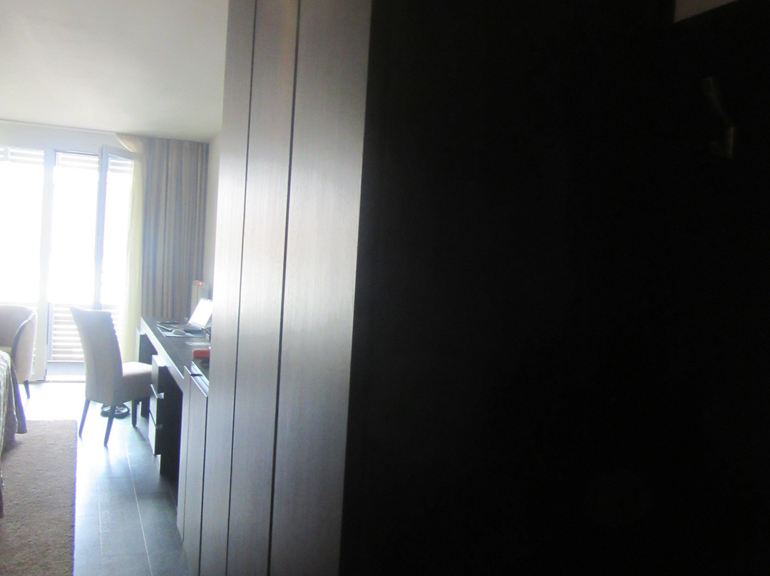 Hotel Winzerstube Ihringen主图