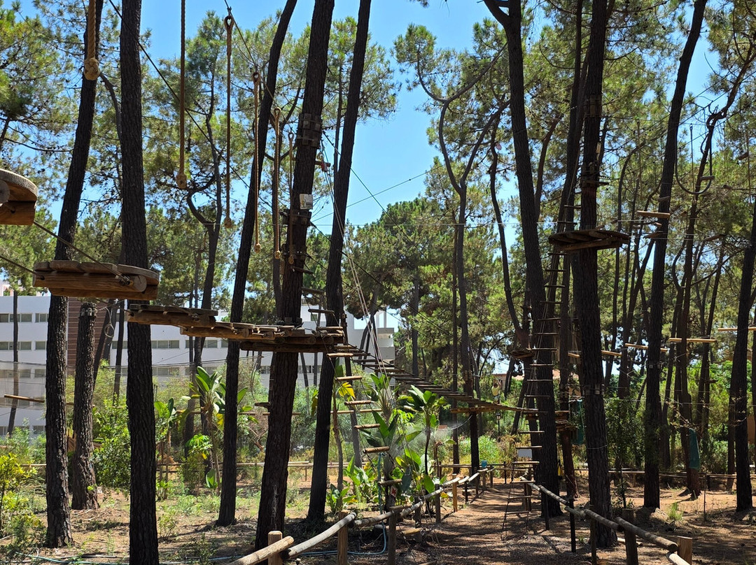 Aventura Amazonia Marbella-太阳海岸必去景点