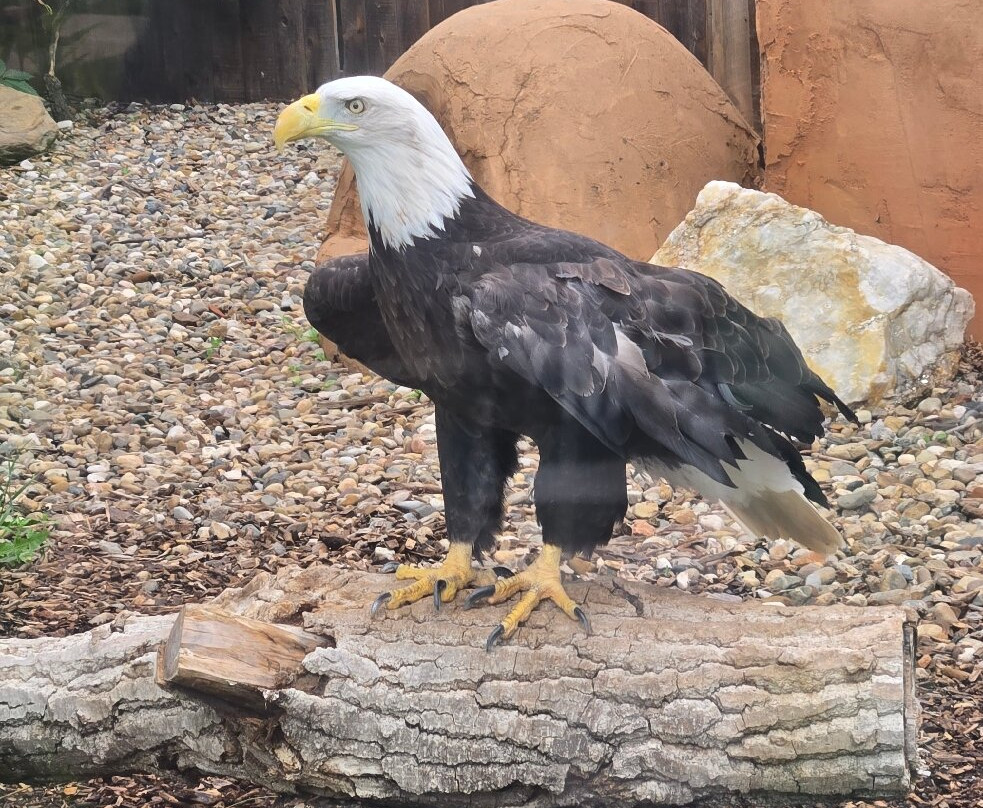 爬虫公园-拉皮德城必去景点