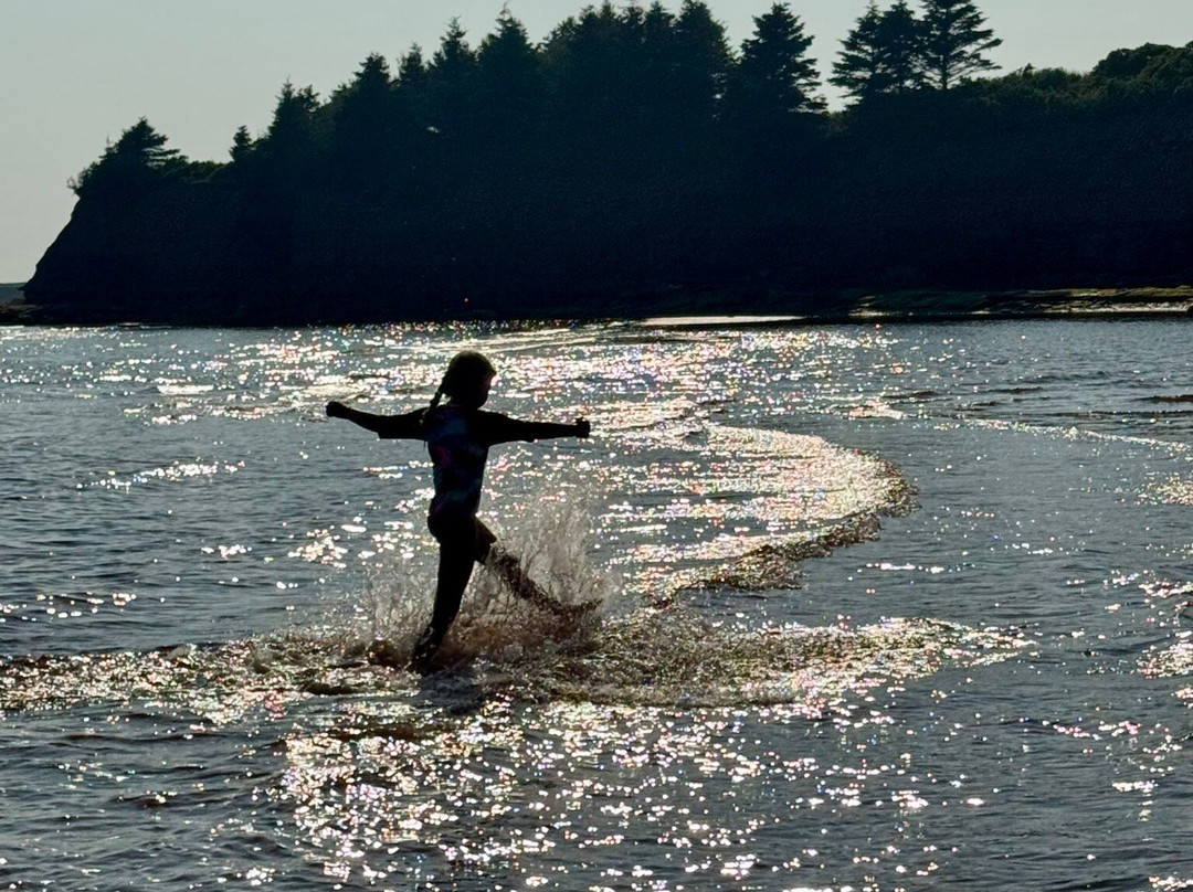Argyle Shore Provincial Park-Bonshaw必去景点