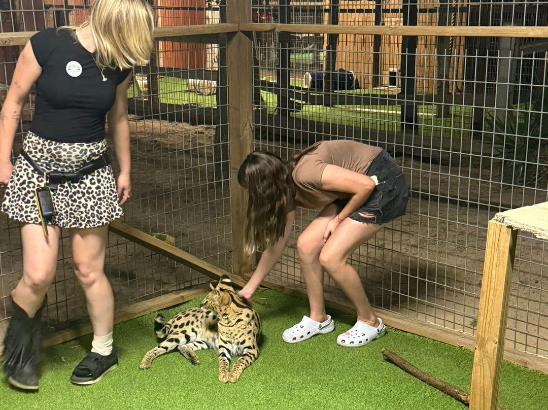 Oak Meadow Ranch-Valley View必去景点