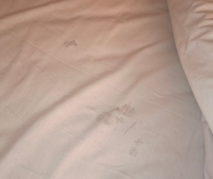 Hotel 10 Itajai主图