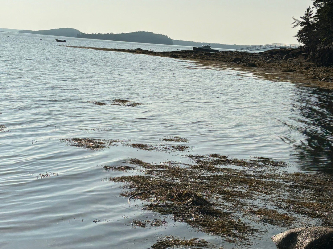 Bluff House Inn主图