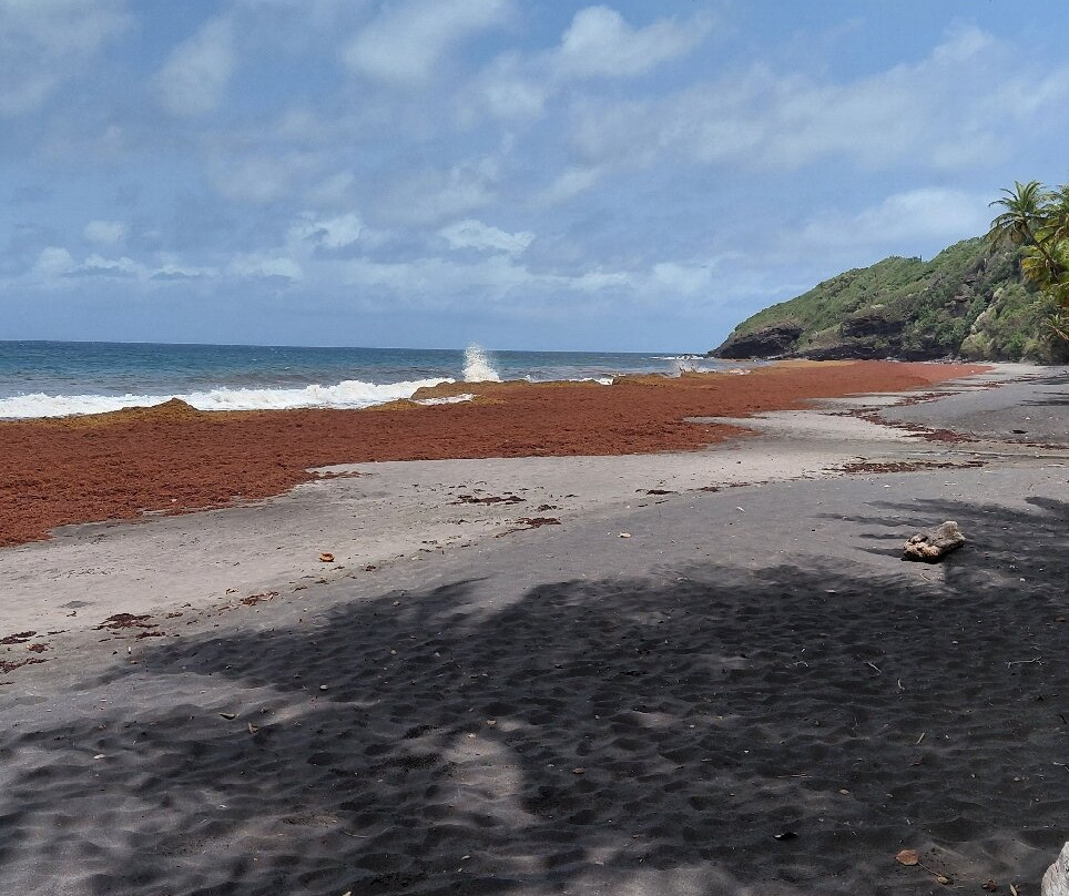 Plage de Grande Anse-Trois Rivieres必去景点