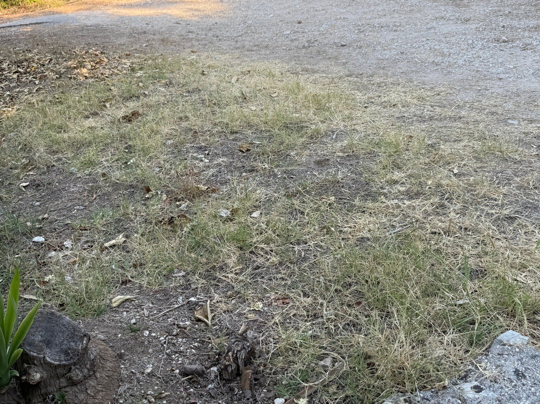 Vliho Bay Suites & Apartments主图