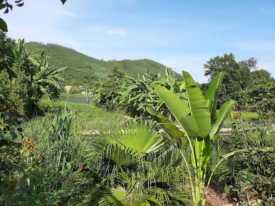 Dong Du Village Lakeside Farm Stay-Nghia Thuan必去景点