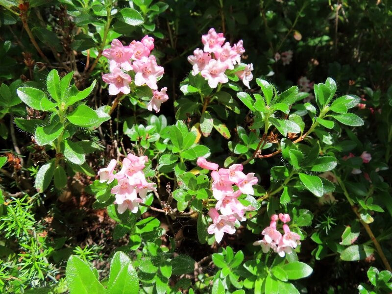 Val Pramper-Val di Zoldo必去景点