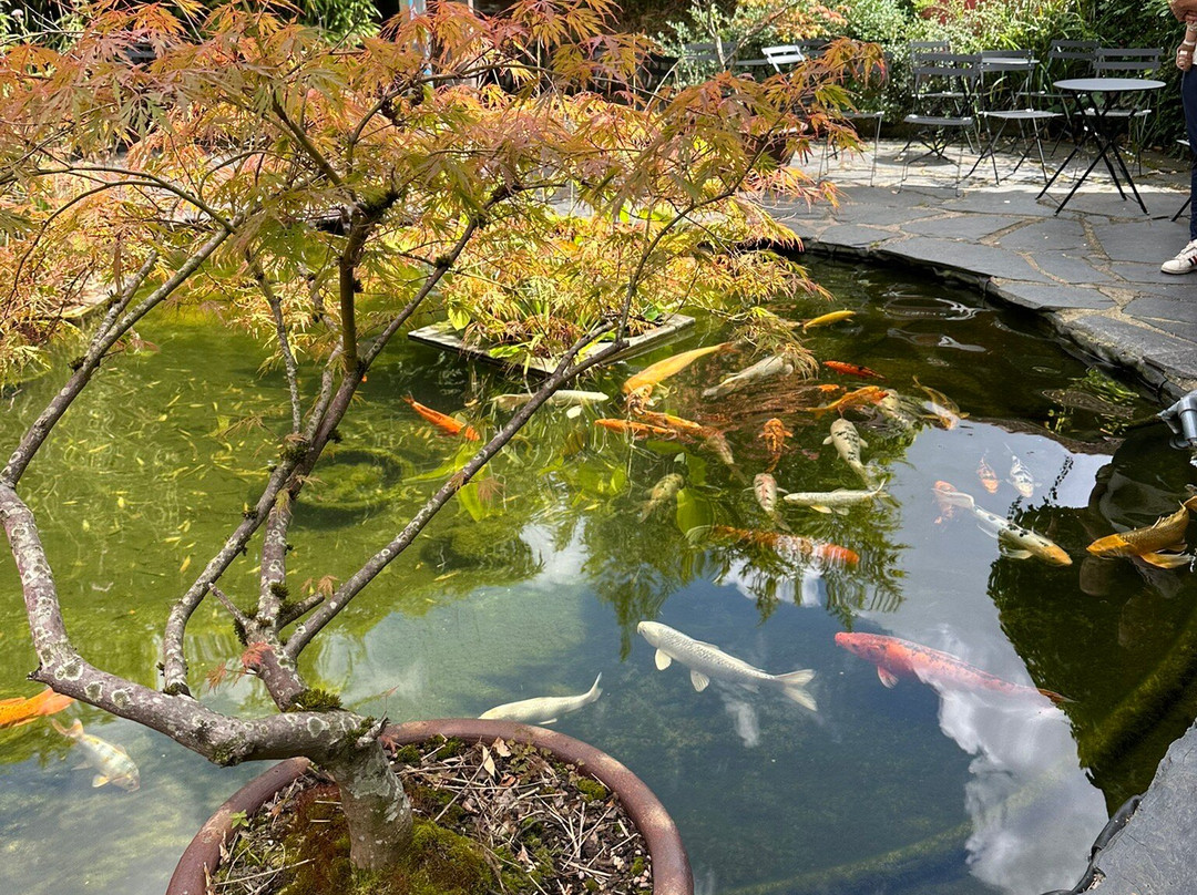 Aquarium d'Amneville-昂内维尔必去景点